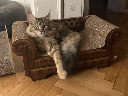 LöwenLounge