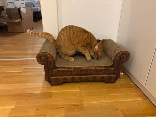 LöwenLounge