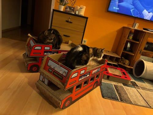 Doppeldecker-Bus