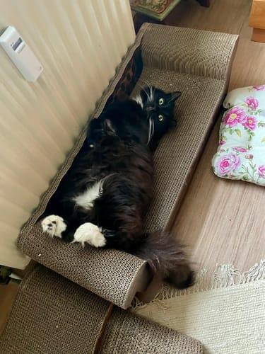 LöwenLounge XXL