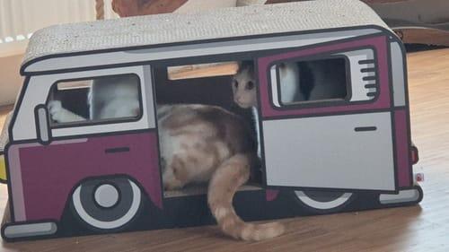 KratzCamper XXL
