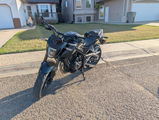 Jensen Friesen review photo