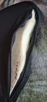 Anonymous review photo