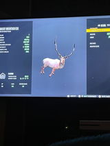 Andy review photo