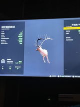 Andy review photo