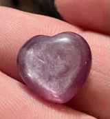Sarah Rossignol review photo