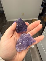 Zoee G. review photo