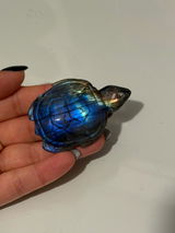 Esme review photo