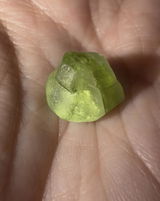 Chelsea Gochenour review photo
