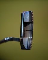 David B. review photo