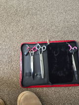 Zoe review photo