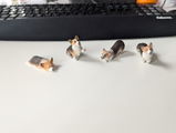 Priscilla H. review photo