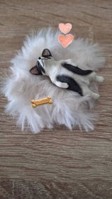 corinna review photo