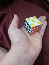 Dylan G. review photo
