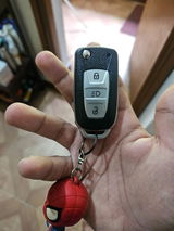 Gaurav review photo