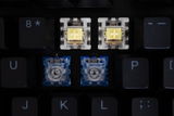 Jack Ting review photo