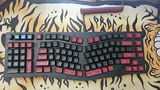 D.G. review photo