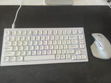 behrad Deylami review photo