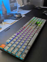N.Z. review photo