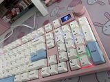 R.T. review photo