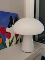 Susan T. Neft review photo
