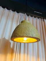 roxanne review photo