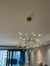 Delfina Kunze review photo