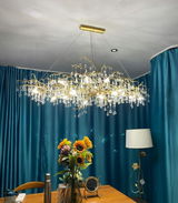 ,E Brou review photo