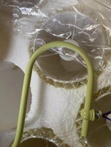 FelcarekGabriel review photo