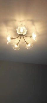 ,Bella review photo