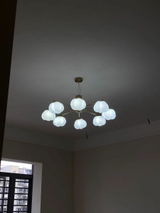 CampbellRhyllis review photo