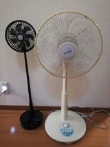 ふかつよ review photo