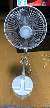 タイガー review photo