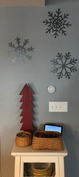 Barnscar review photo