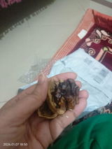Mrs. Hussain review photo
