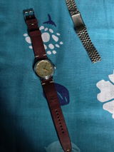 Souvik Panja review photo