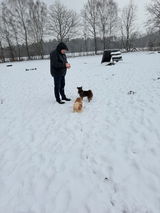 Tetje Janßen review photo