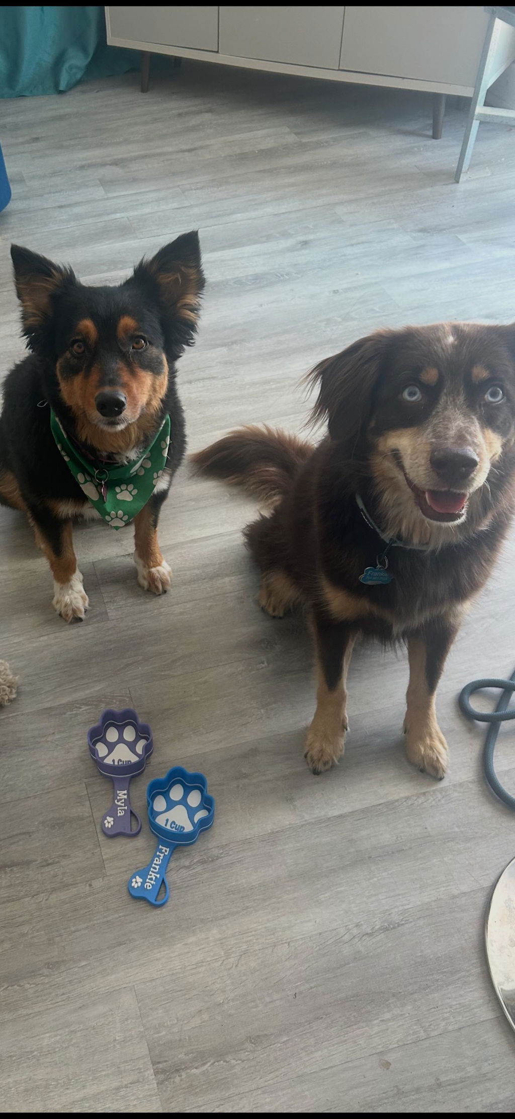 Personalized Paw Shaped Dog Food Scoop