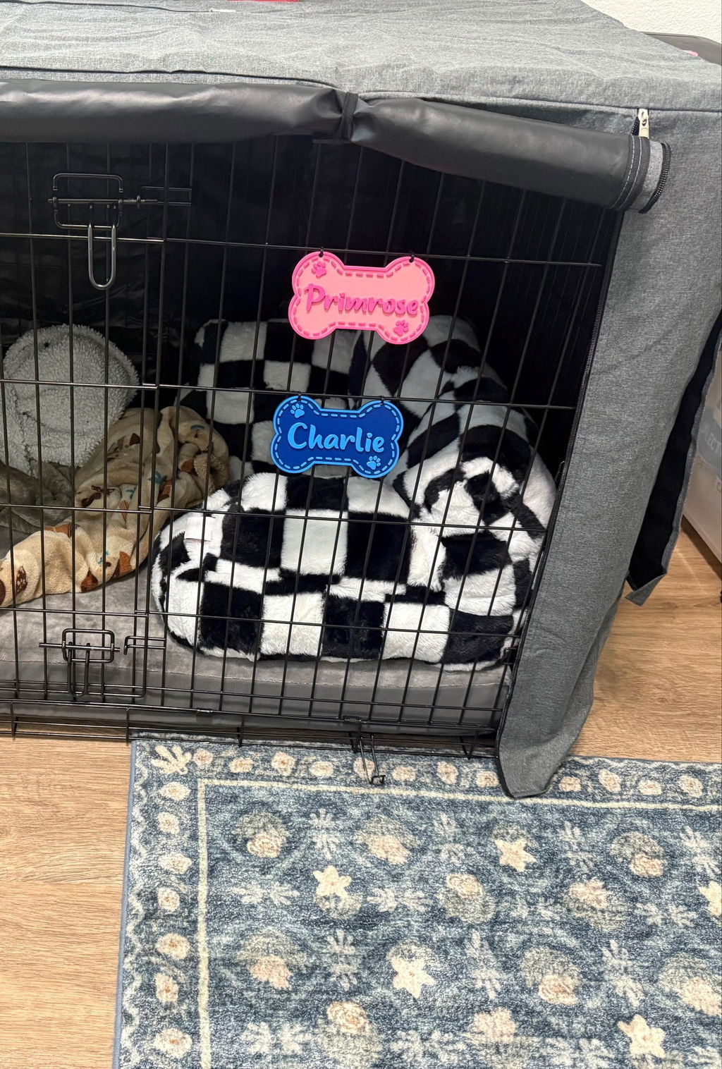 Personalized Dog Crate Tags
