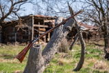 Gene Bohannon review photo