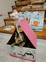 Syarifah Ameera review photo
