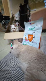 Norazlin Razali review photo