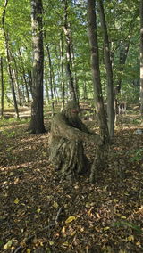 Deotto.ghillie.crafter review photo
