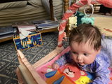 User picture