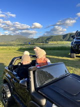 Te wiki kahu pounamu Rewi review photo