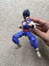 S.A. review photo