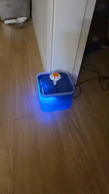 Enora review photo