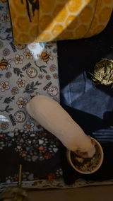 Piret P. review photo