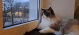 Annely S. review photo