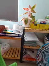 phucphuc review photo